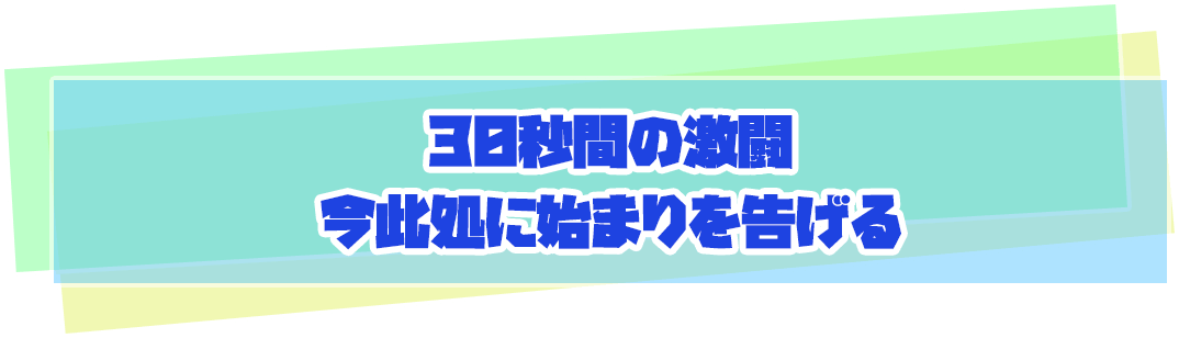 30秒間の激闘 今此処に始まりを告げる